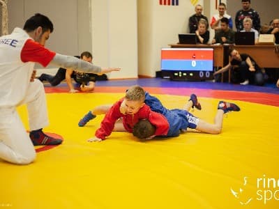БОРЦОВСКИЙ КОВЕР 'РИНО СПОРТ'